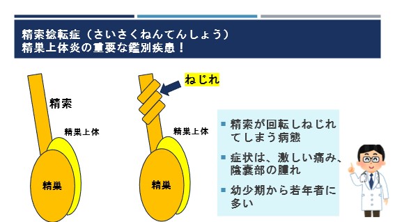 精巣 上 体 炎 と は