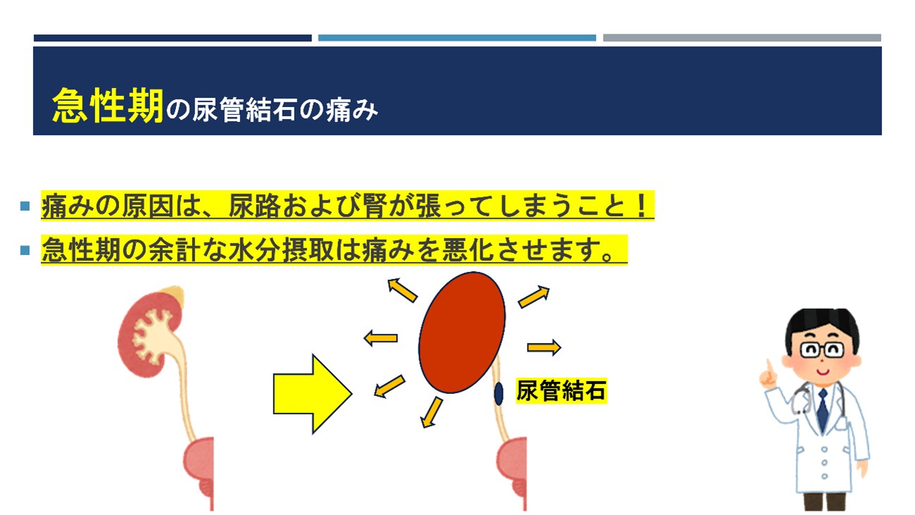 尿尿 尿路結石症（背中が痛い、腹痛、血尿など）｜佐々木クリニック泌尿器科 芝大門 浜松町 港区 東京都